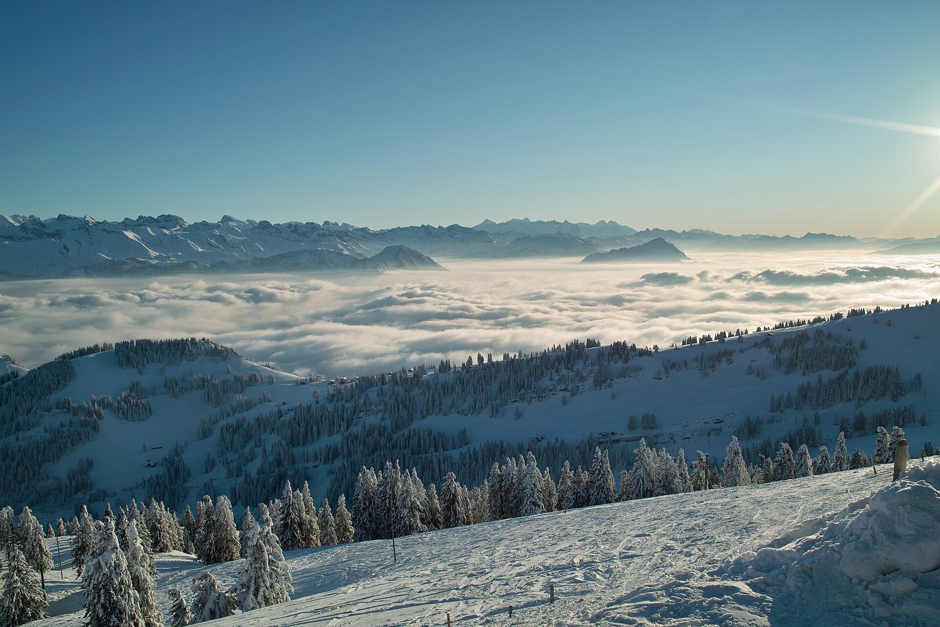 The summit ridge of Mount Rigi above a sea of cloud